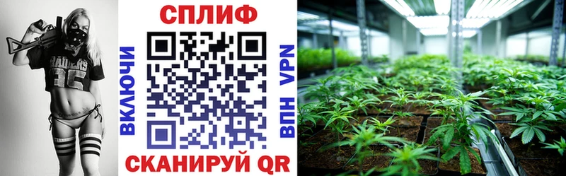 где купить наркоту  Дубовка  МАРИХУАНА семена 